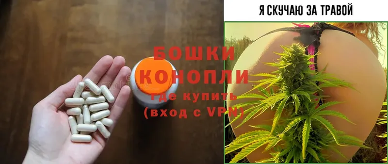 hydra рабочий сайт  Светлоград  Канабис White Widow  наркотики 